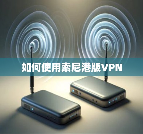 如何使用索尼港版VPN