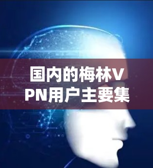 国内的梅林VPN用户主要集中在国内平台，主要使用国内版的梅林VPN，价格较低，但功能有限。以下是详细的总结