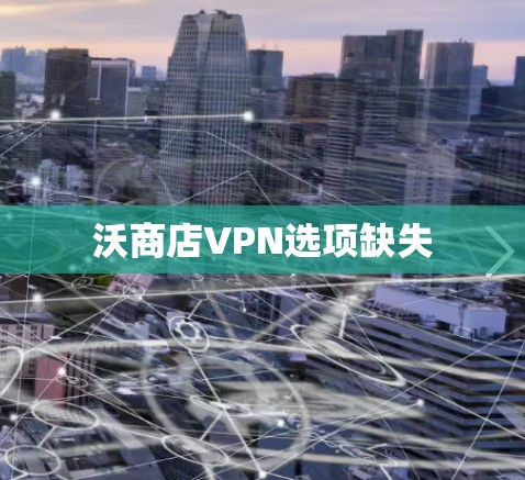 沃商店VPN选项缺失