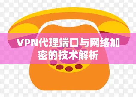 VPN代理端口与网络加密的技术解析