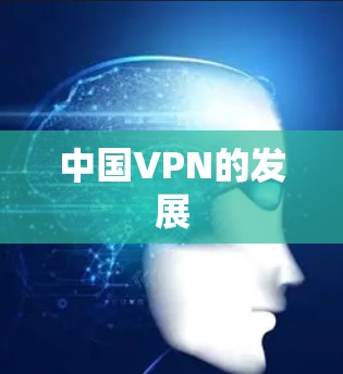 中国VPN的发展 中国VPN的发展