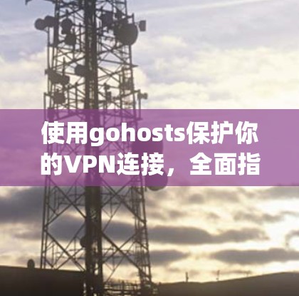 使用gohosts保护你的VPN连接,全面指南 使用gohosts保护你的VPN连接,全面指南
