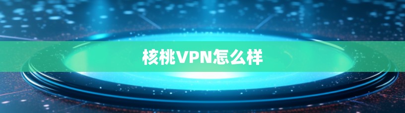 核桃VPN怎么样