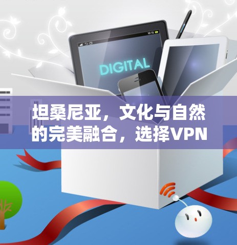 坦桑尼亚，文化与自然的完美融合，选择VPN就是选择了这样一份独特的时光