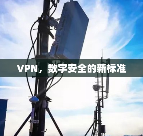 VPN,数字安全的新标准 VPN,数字安全的新标准