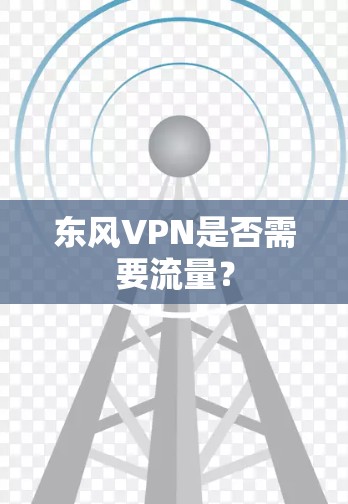 东风VPN是否需要流量？