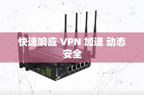 快速响应 VPN 加速 动态安全