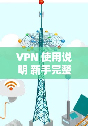 VPN 使用说明 新手完整操作流程