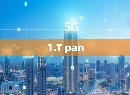 1.T pan 1.T pan