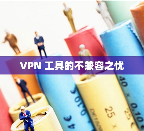 VPN 工具的不兼容之忧