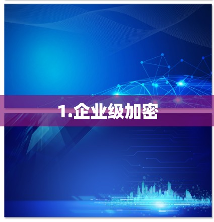 1.企业级加密 1.企业级加密