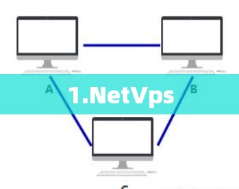 1.NetVps