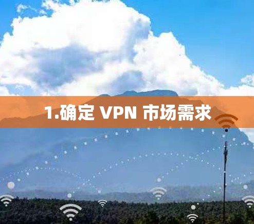 1.确定 VPN 市场需求 1.确定 VPN 市场需求