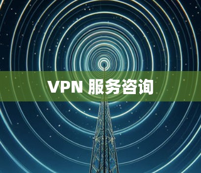 VPN 服务咨询 VPN 服务咨询