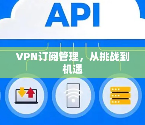 VPN订阅管理，从挑战到机遇