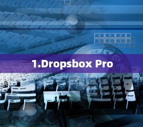 1.Dropsbox Pro