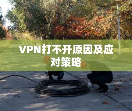 VPN打不开原因及应对策略