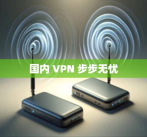 国内 VPN 步步无忧