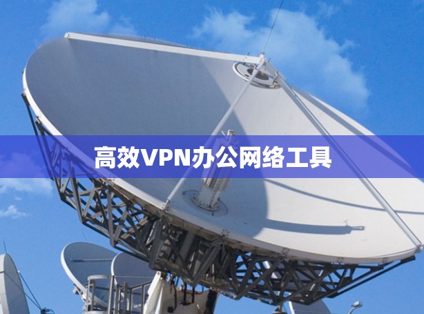 高效VPN办公网络工具