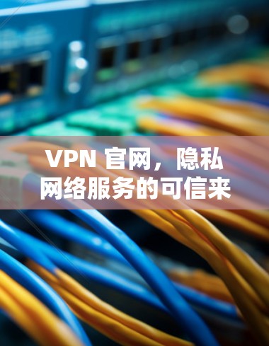 VPN 官网，隐私网络服务的可信来源