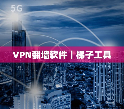 VPN翻墙软件|梯子工具 VPN翻墙软件|梯子工具
