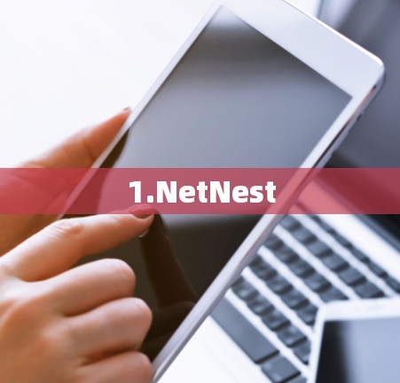 1.NetNest 1.NetNest