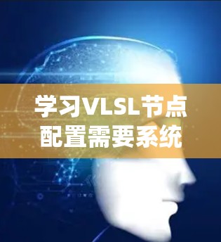 学习VLSL节点配置需要系统地理解其作用、配置步骤以及潜在的风险。以下是一个详细的指南 学习VLSL节点配置需要系统地理解其作用、配置步骤以及潜在的风险。以下是一个详细的指南
