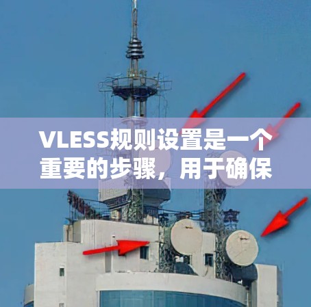 VLESS规则设置是一个重要的步骤,用于确保计算机在读写操作时进行数据校验,从而防止数据泄露。以下是详细的步骤说明 VLESS规则设置是一个重要的步骤,用于确保计算机在读写操作时进行数据校验,从而防止数据泄露。以下是详细的步骤说明
