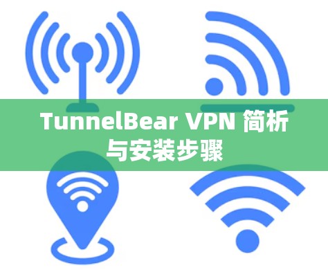 TunnelBear VPN 简析与安装步骤