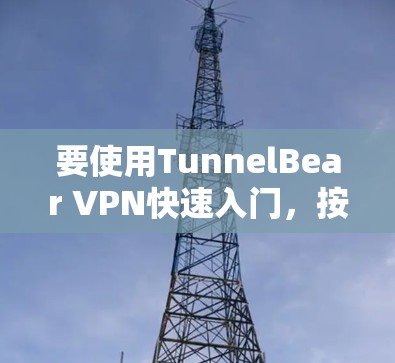 要使用TunnelBear VPN快速入门，按照以下步骤进行