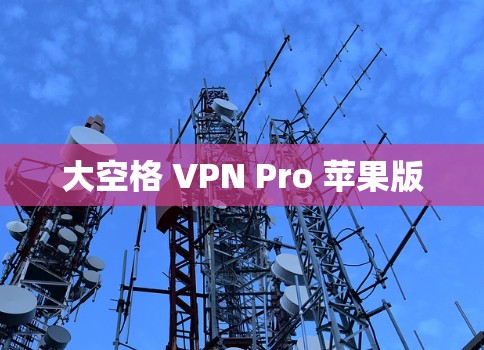 大空格 VPN Pro 苹果版