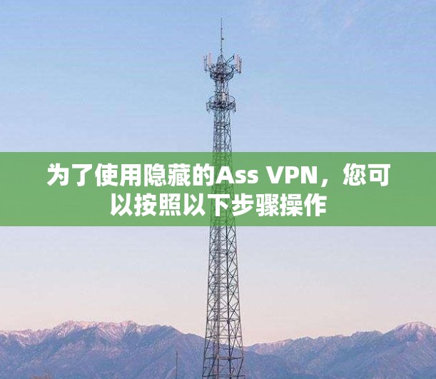 为了使用隐藏的Ass VPN，您可以按照以下步骤操作