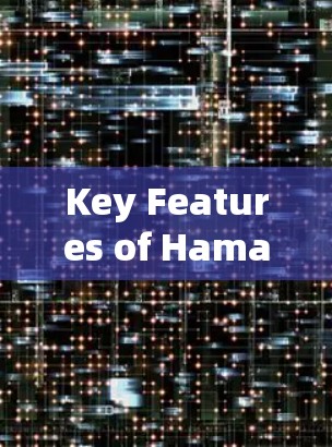 Key Features of Hamachi Virtual Network: