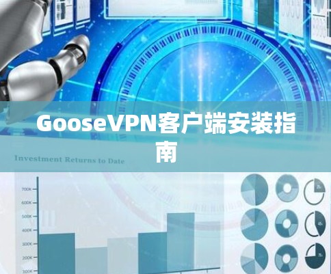 GooseVPN客户端安装指南