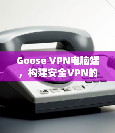 Goose VPN电脑端，构建安全VPN的高效选择