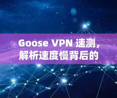 Goose VPN 速测，解析速度慢背后的真相