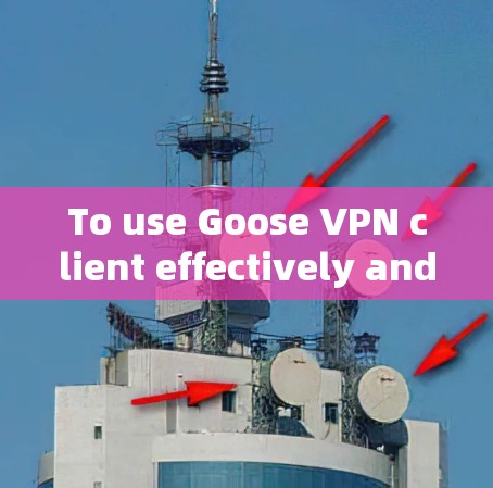 To use Goose VPN client effectively and securely,follow these organized steps: