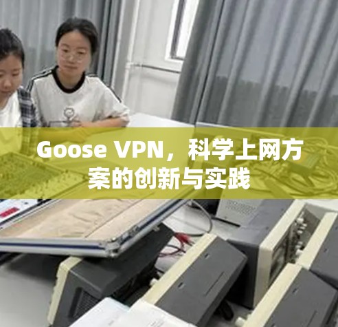 Goose VPN，科学上网方案的创新与实践