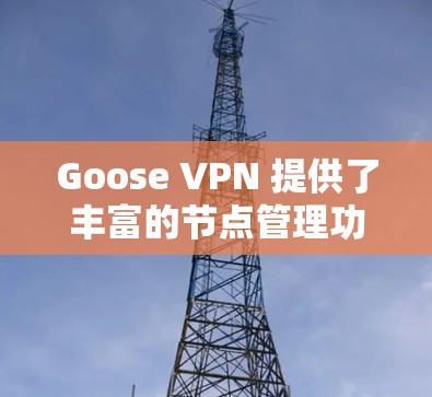 Goose VPN 提供了丰富的节点管理功能，允许用户在本地管理多个节点，从而控制访问不同的网络资源。以下是进行节点管理的详细步骤