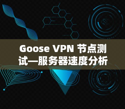 Goose VPN 节点测试—服务器速度分析报告