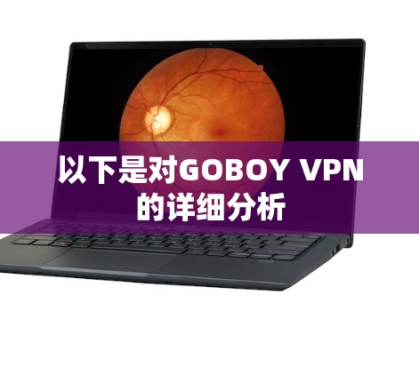 以下是对GOBOY VPN的详细分析
