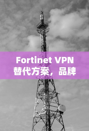 Fortinet VPN替代方案,品牌价值与网络安全的双重魅力